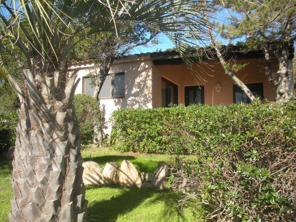 Village Naturiste La Chiappa Porto-Vecchio  Oda fotoğraf