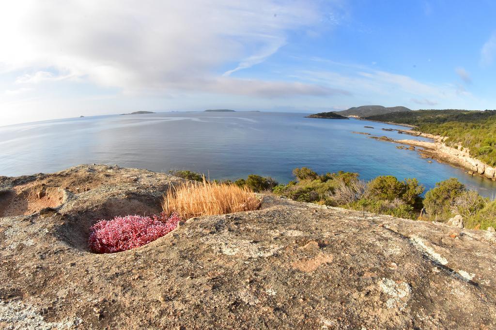 Village Naturiste La Chiappa Porto-Vecchio  Dış mekan fotoğraf